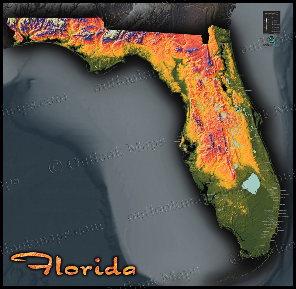 Florida Topography Map | Colorful Natural Physical Landscape - Florida Elevation Map Above Sea Level