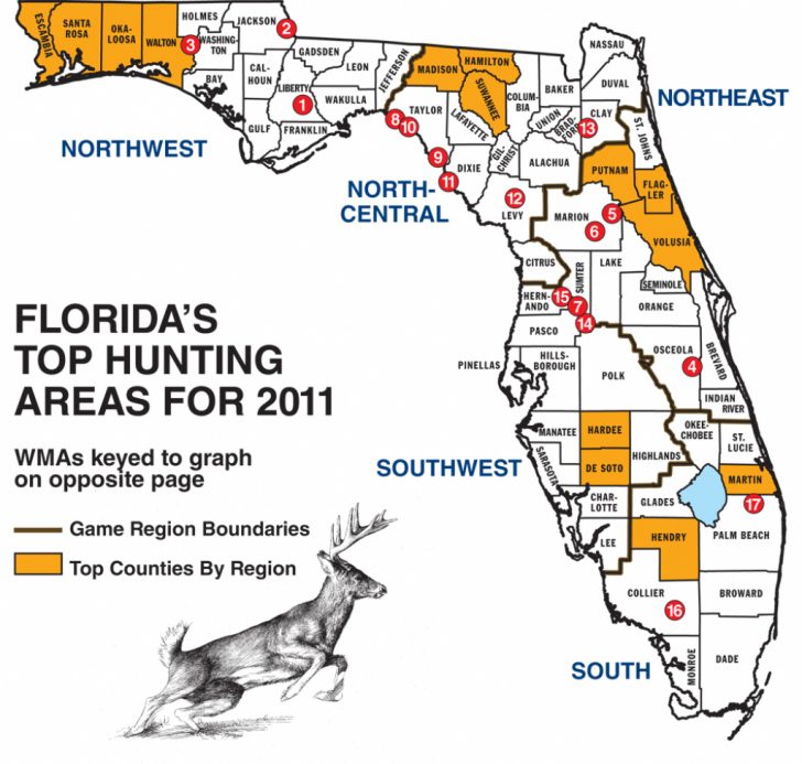 Zone D Florida Hunting Season 2024 Calendar Adria Ardelle