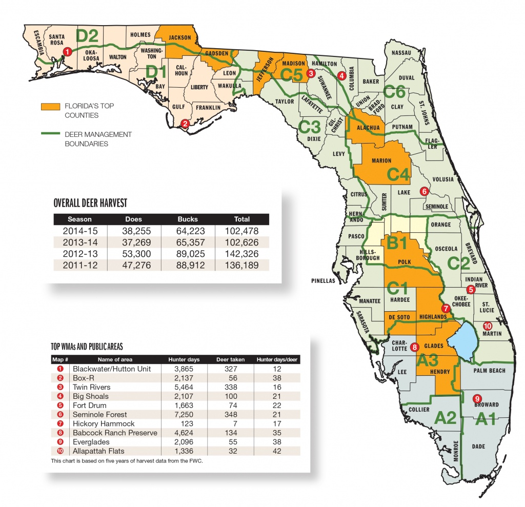 Florida Whitetail Experience - Page 2 - Huntingnet Forums - Florida Public Hunting Land Maps