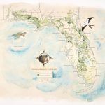 Florida Wildlife Corridor Expedition Watercolor Map Print   Where Is Watercolor Florida On A Map