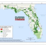 Florida Wildlife   Panthers & Black Bears | Sierra Club   Bears In Florida Map