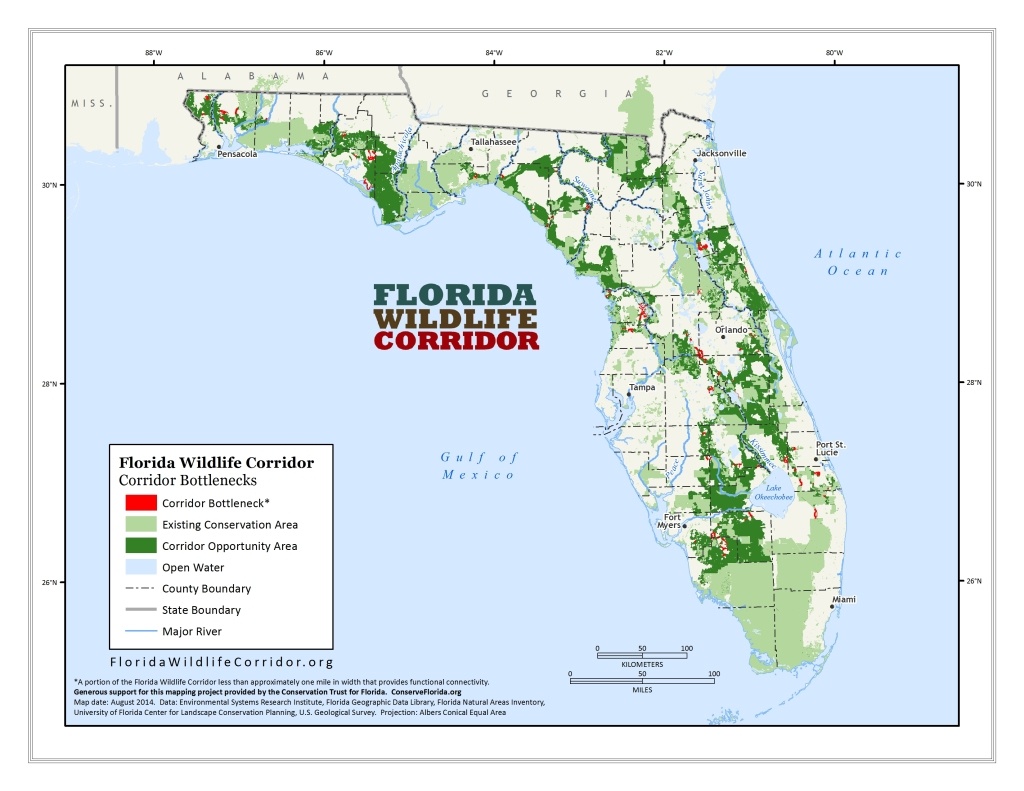 Florida Wildlife - Panthers &amp;amp; Black Bears | Sierra Club - Florida Public Hunting Land Maps