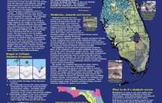 Florida+Sinkhole+Map | Florida Sinkhole Map | Florida | Ocala - Sinkhole Map Florida 2017