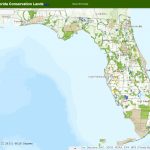 Fnai   South Florida Map Google