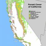 Forest Cover Map Of California [871 × 1232] : Mapporn   California Forests Map