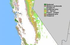 Forest Cover Map Of California [871 × 1232] : Mapporn - California Forests Map