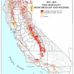 Fuel For The Fire — Reflections On Water   California Department Of Forestry And Fire Protection Map