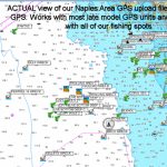 Garmin Saltwater Fishing Maps « Guide To Coastal Georgia Fishing   Hot Spot Maps Florida