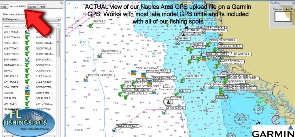 Garmin Saltwater Fishing Maps « Guide To Coastal Georgia Fishing - Hot Spot Maps Florida