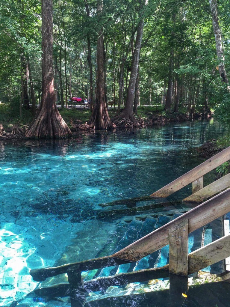 Ginnie Springs In High Springs, Florida | Road Trippin - Natural Springs Florida Map