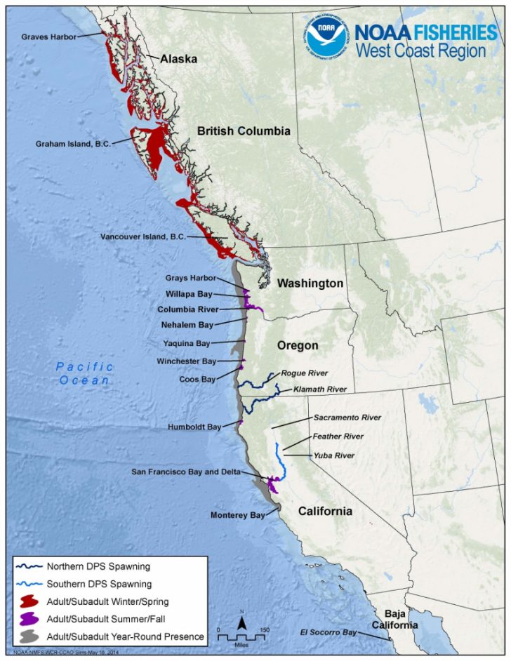 Northern California Fishing Map