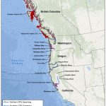 Green Sturgeon   Southern California Ocean Fishing Maps