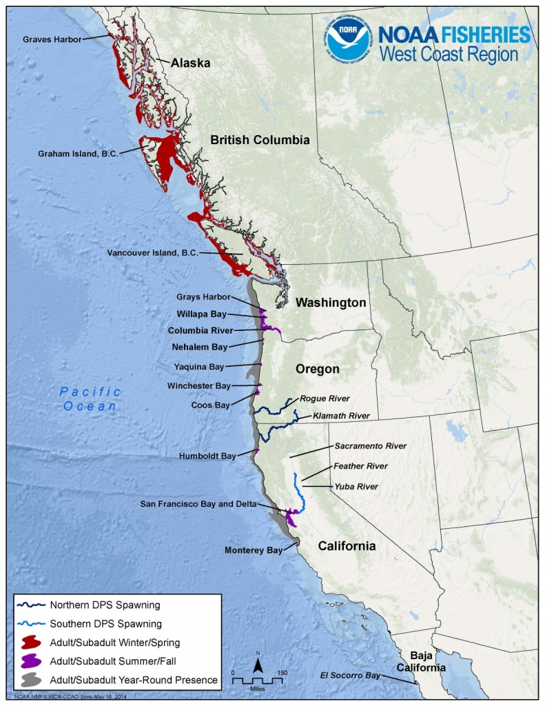 Green Sturgeon - Southern California Ocean Fishing Maps