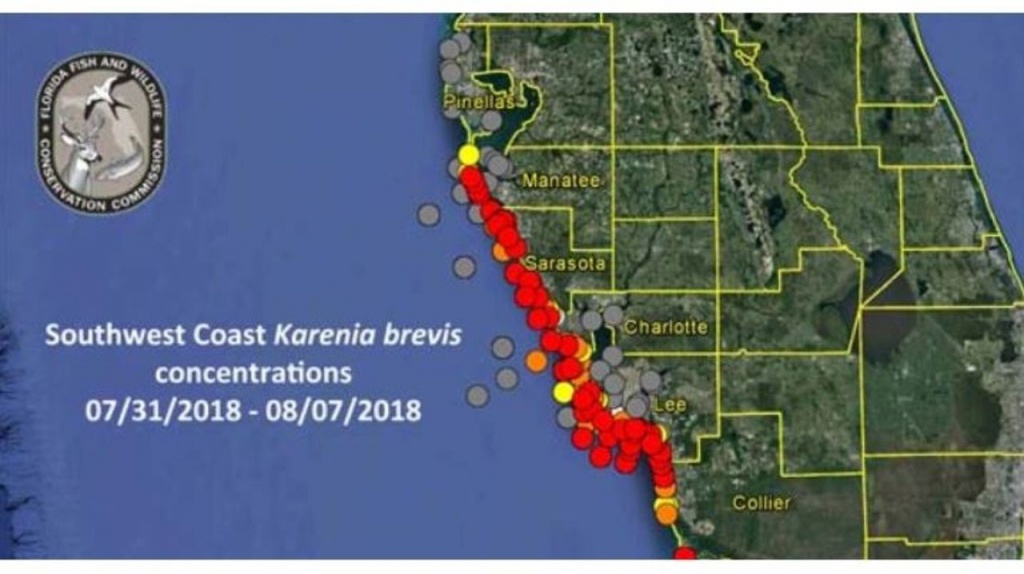 How To Check For Red Tide Before Going To The Beach - Current Red Tide Map Florida