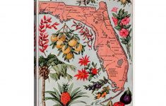 Icanvas "state Map Of Florida (Natural Resources)"vintage Poster - Vintage Florida Map Poster
