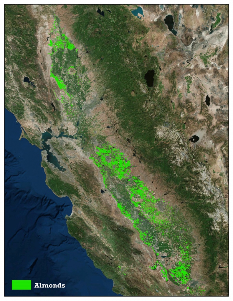 Industry Statistics And Maps | California Almonds - Your Favorite - California Almond Farms Map