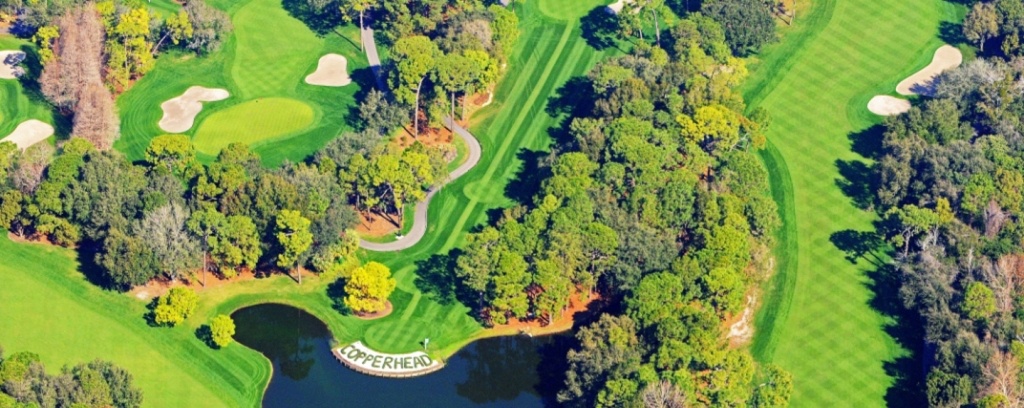 Innisbrook Fl Real Estate Listings And Homes For Sale, Home Buying - Innisbrook Florida Map