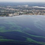 Interactive Map Shows Locations, Types And Toxicity Levels Of Algal   Florida Blue Green Algae Map