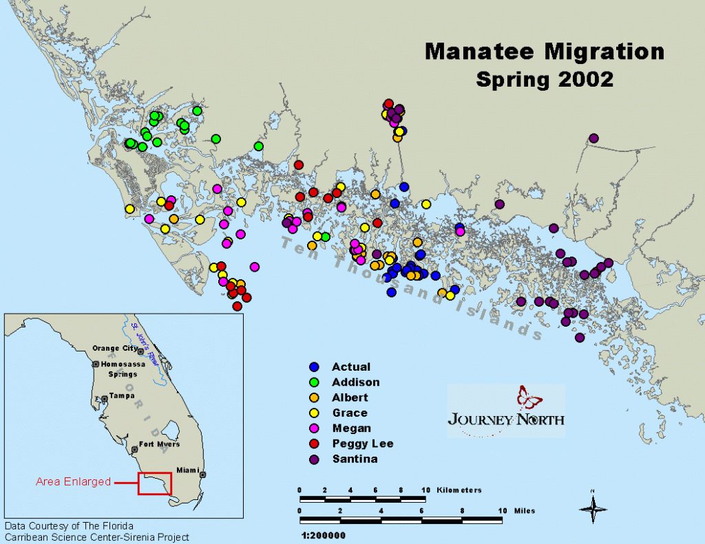 Journey North Manatees Manatee Florida Map 1024x791 