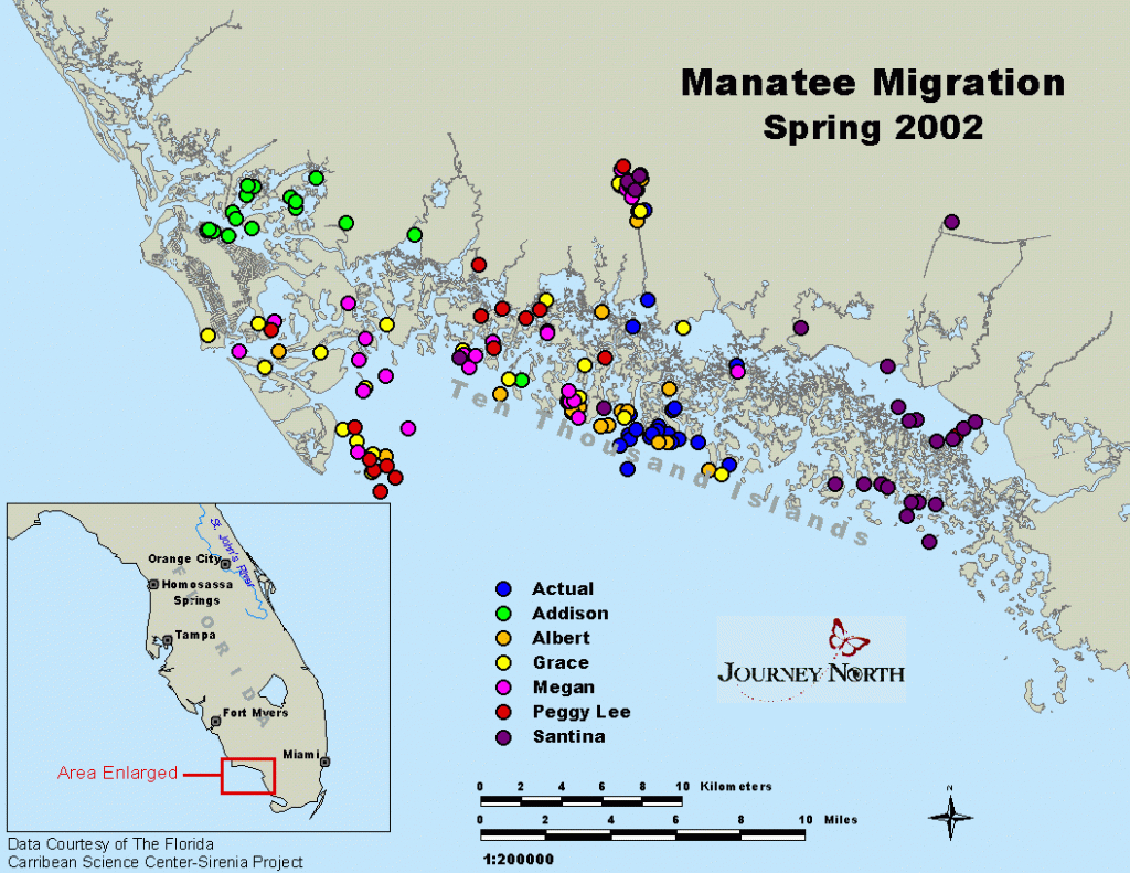 Journey North Manatees - Manatee Florida Map