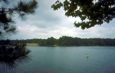 lake o the pines wikipedia lake of the pines texas map Lake O' The Pines - Wikipedia - Lake Of The Pines Texas Map