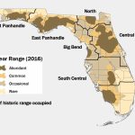 Lesson Ten: Oh Where, Oh Where Is The Florida Black Bear?   Black   Florida Snake Problem Map