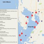 Little Harbor Watersports Things To Do   Little Harbor Watersports   Map Of Florida Showing Apollo Beach