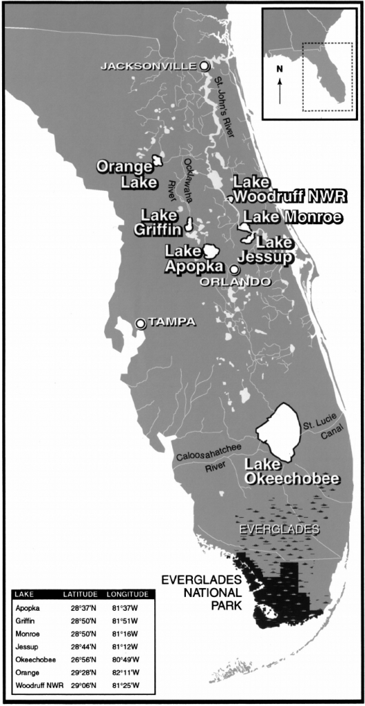 Map Of Florida Showing The Everglades And The Study Lakes | Download - Map Of Florida Showing The Everglades