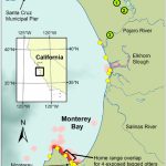 Map Of Monterey Bay Showing Distribution Of Sea Otters Dying Due To   Monterey Bay California Map