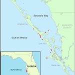 Map Of Sampling Area Off Sarasota, Fl Showing Locations Of A   Sarasota Bradenton Florida Map