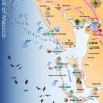 Map Out Your Next Vacation In The Florida Gulf! | Gulf Island Tours   Punta Gorda Florida Map
