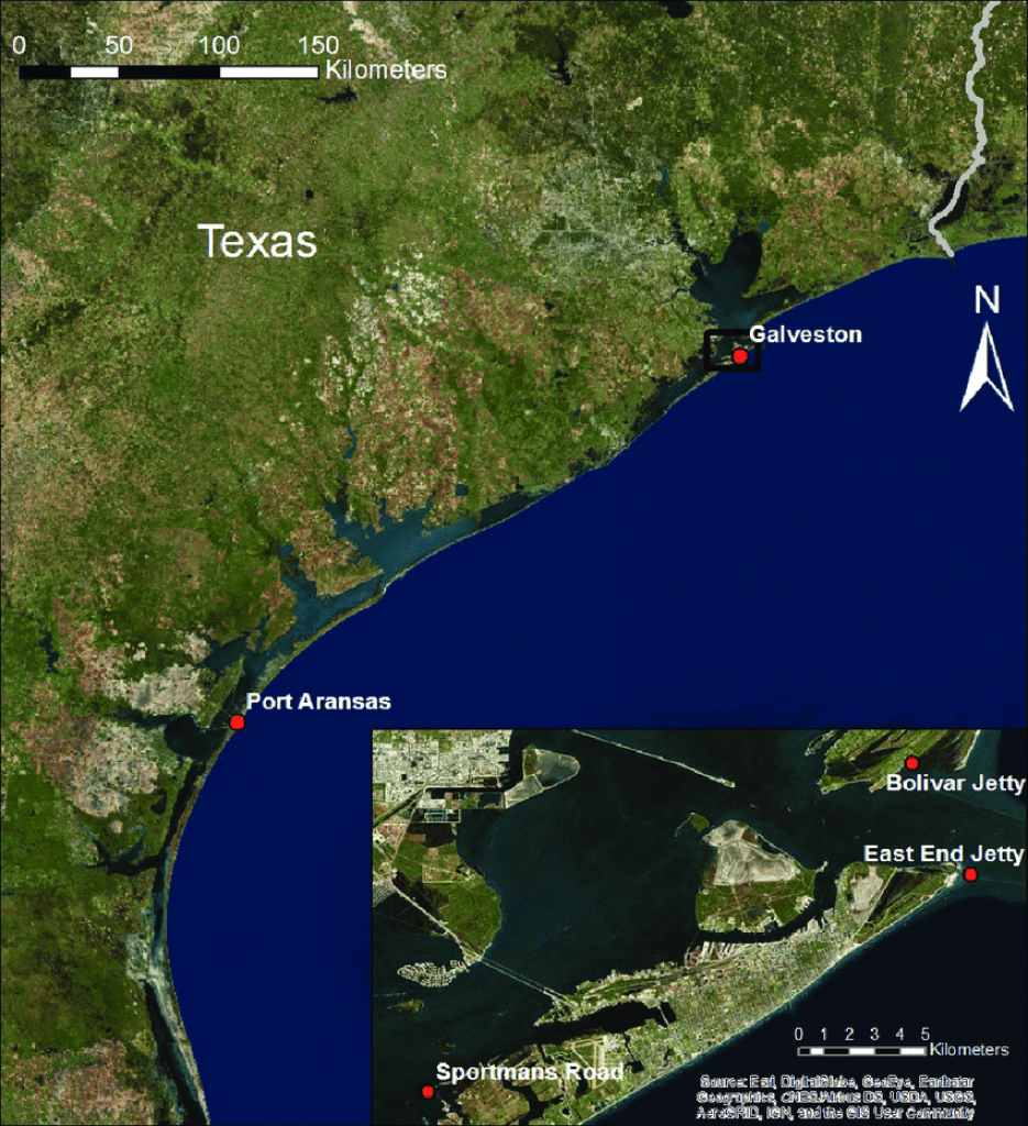 Map Showing The Texas Coast With Port Aransas And Galveston Marked - Google Maps Port Aransas Texas