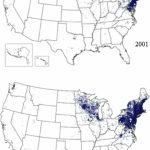 Maps Of The United States Showing The Concentration Of Reported   Lyme Disease In Florida Map