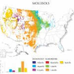 Mollisols Map | Nrcs Soils   Florida Soil Types Map