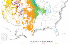 mollisols map nrcs soils florida soil types map Mollisols Map | Nrcs Soils - Florida Soil Types Map