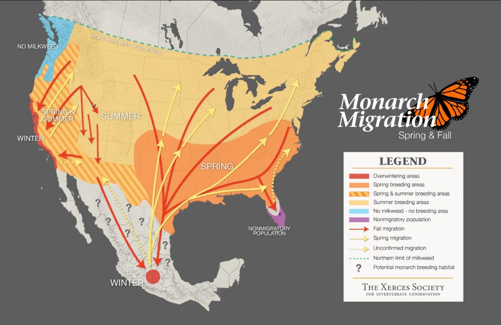 Monarch Butterfly Distribution Map Monarch Butterfly Migration Map California 1024x664 