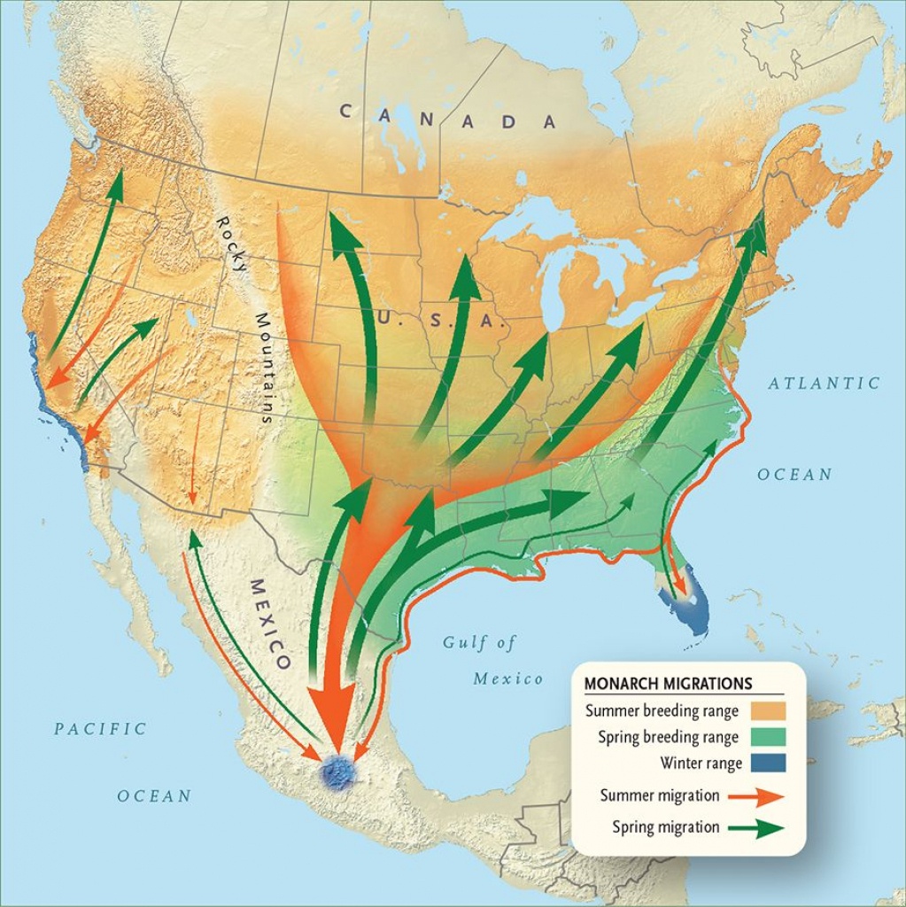 Monarch Migration Map Monarch Butterfly Migration Monarch Monarch Butterfly Migration Map California 