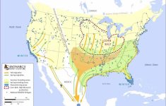 monarchs north americas butterfly national wildlife refuge system monarch butterfly migration map california Monarchs: North America's Butterfly | National Wildlife Refuge System - Monarch Butterfly Migration Map California
