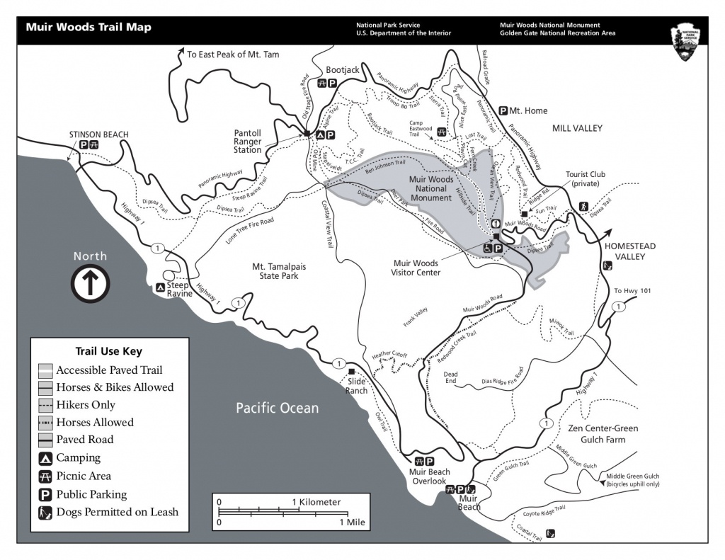 Muir Woods Maps | Npmaps - Just Free Maps, Period. - Muir Woods Map California