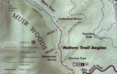 Muir Woods - Muir Woods Map California