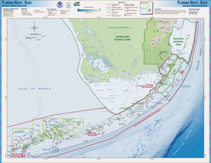 Nasa - Detecting Detrimental Change In Coral Reefs - Coral Reefs In ...