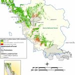 Nasa Maps California Drought Effects On Sierra Trees | Nasa   California Forests Map