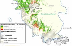 Nasa Maps California Drought Effects On Sierra Trees | Nasa - California Forests Map