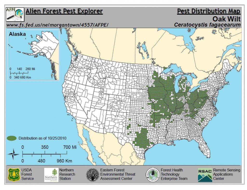 Oak Wilt Wizard Landscaping And Tree Trimming Oak Wilt Texas Map