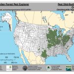 Oak Wilt | Wizard Landscaping And Tree Trimming   Oak Wilt Texas Map