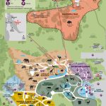 Oakland Zoo Makes Room For Big Predators. But Is It Enough? | Kqed   Oakland Zoo California Trail Map