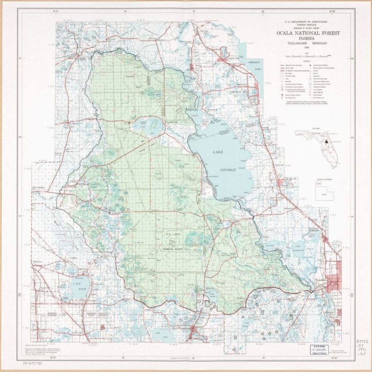 Ocala National Forest Florida Library Of Congress National 