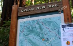 Ocean View Trail Sign And Map, Muir Woods National Monument, Mill - Muir Woods Map California