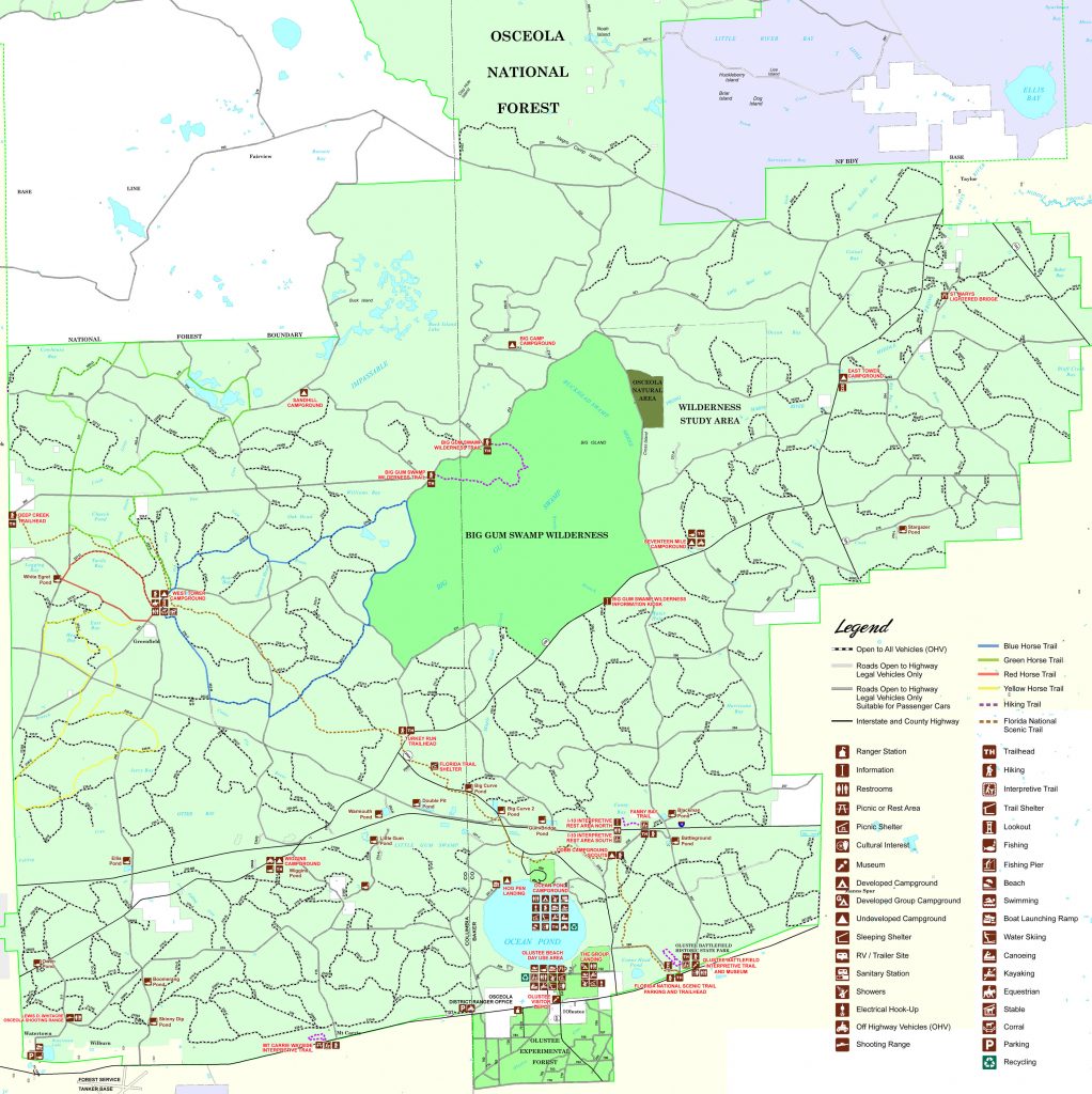 Osceola National Forest Florida National Scenic Trail Flood Zone