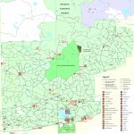 Osceola National Forest   Florida National Scenic Trail   Flood Zone Map Osceola County Florida